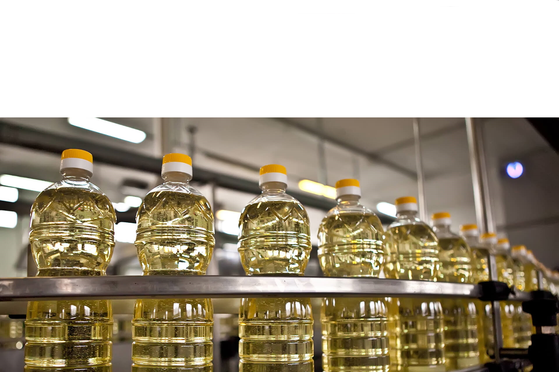 Конвейерная лента с пачками Русский сахар