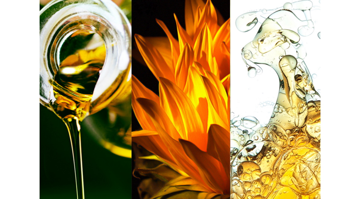 Сотрудники русарго